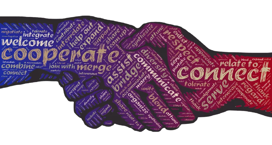 Weiterbildung Begleitung & Beratung von Kooperationsprozessen